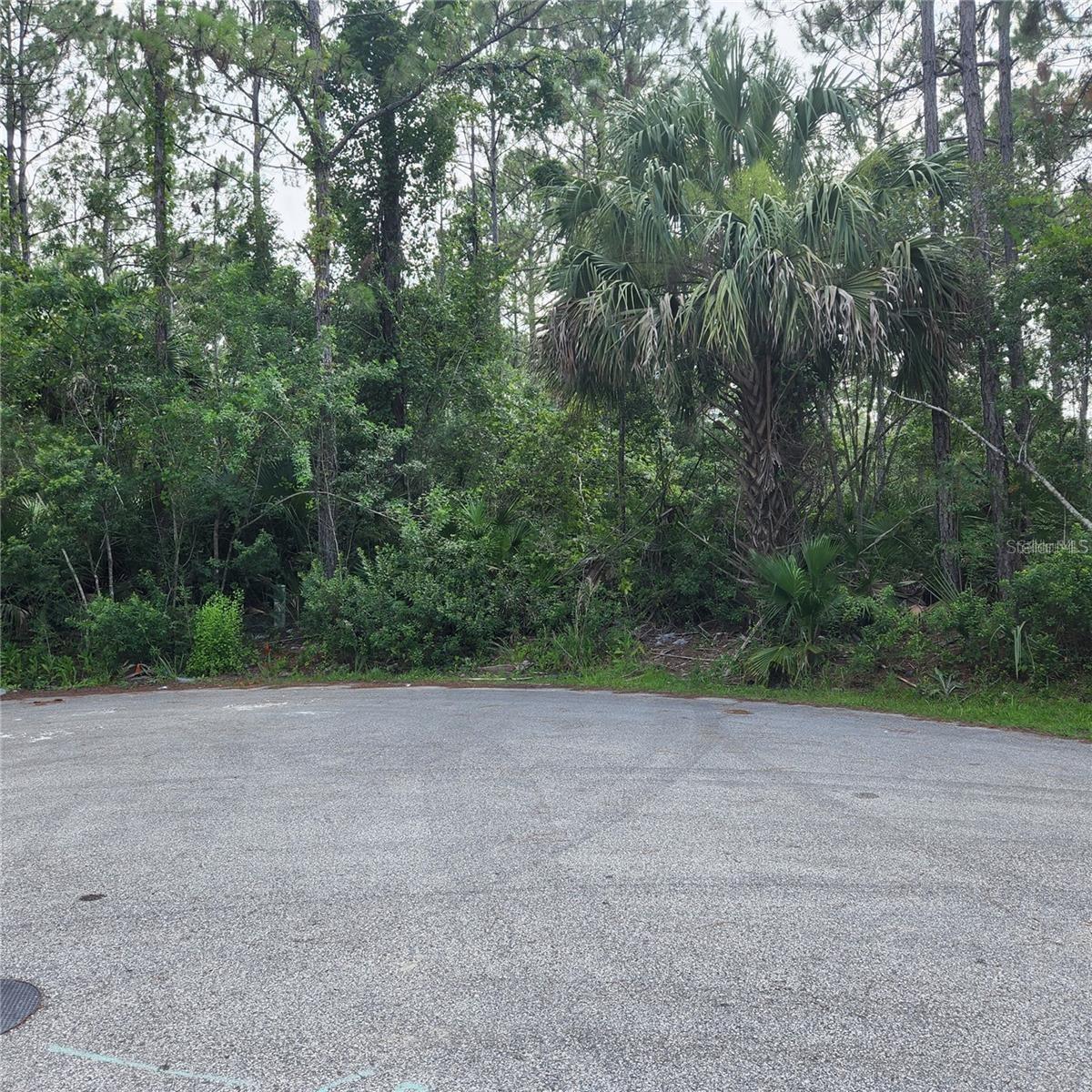 PALM COAST SEC 57 - Land