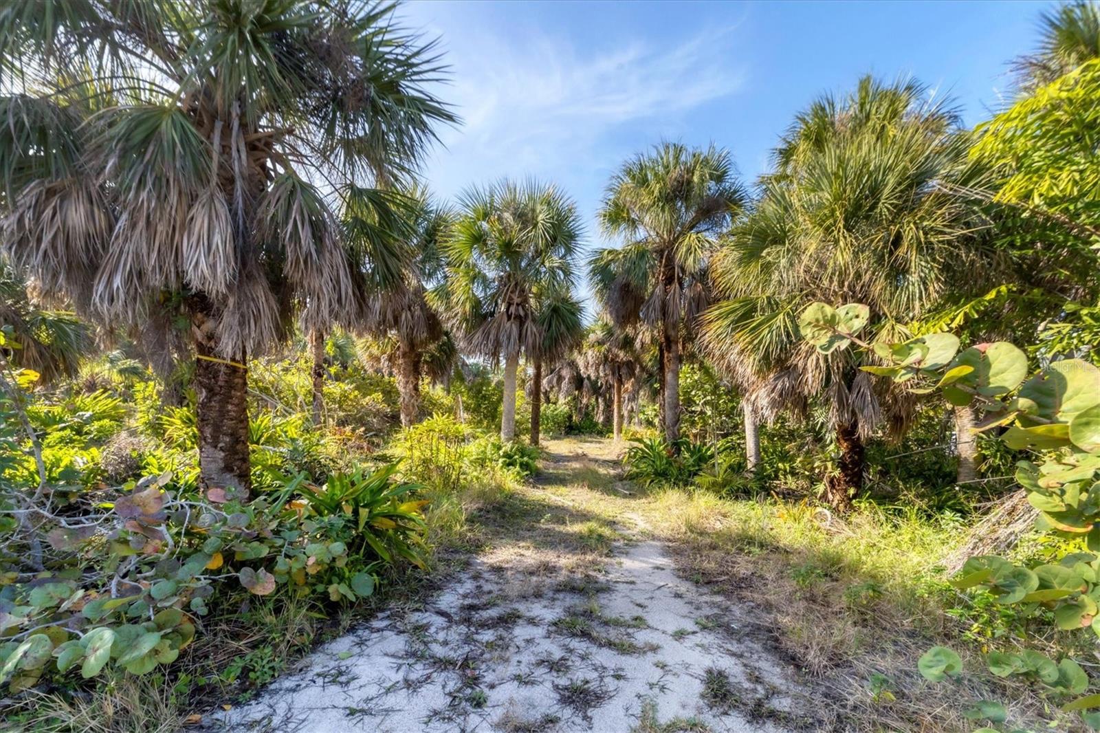 PALM ISLAND ESTATES - Land