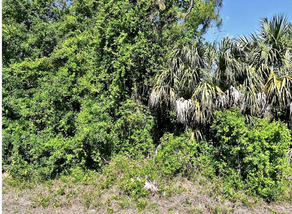 Photo of Guttenburg Road, North Port, FL 34288 (MLS # A4700885)