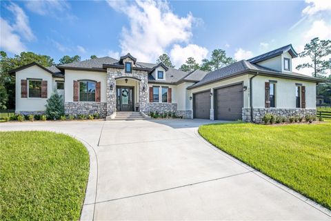 A home in EUSTIS