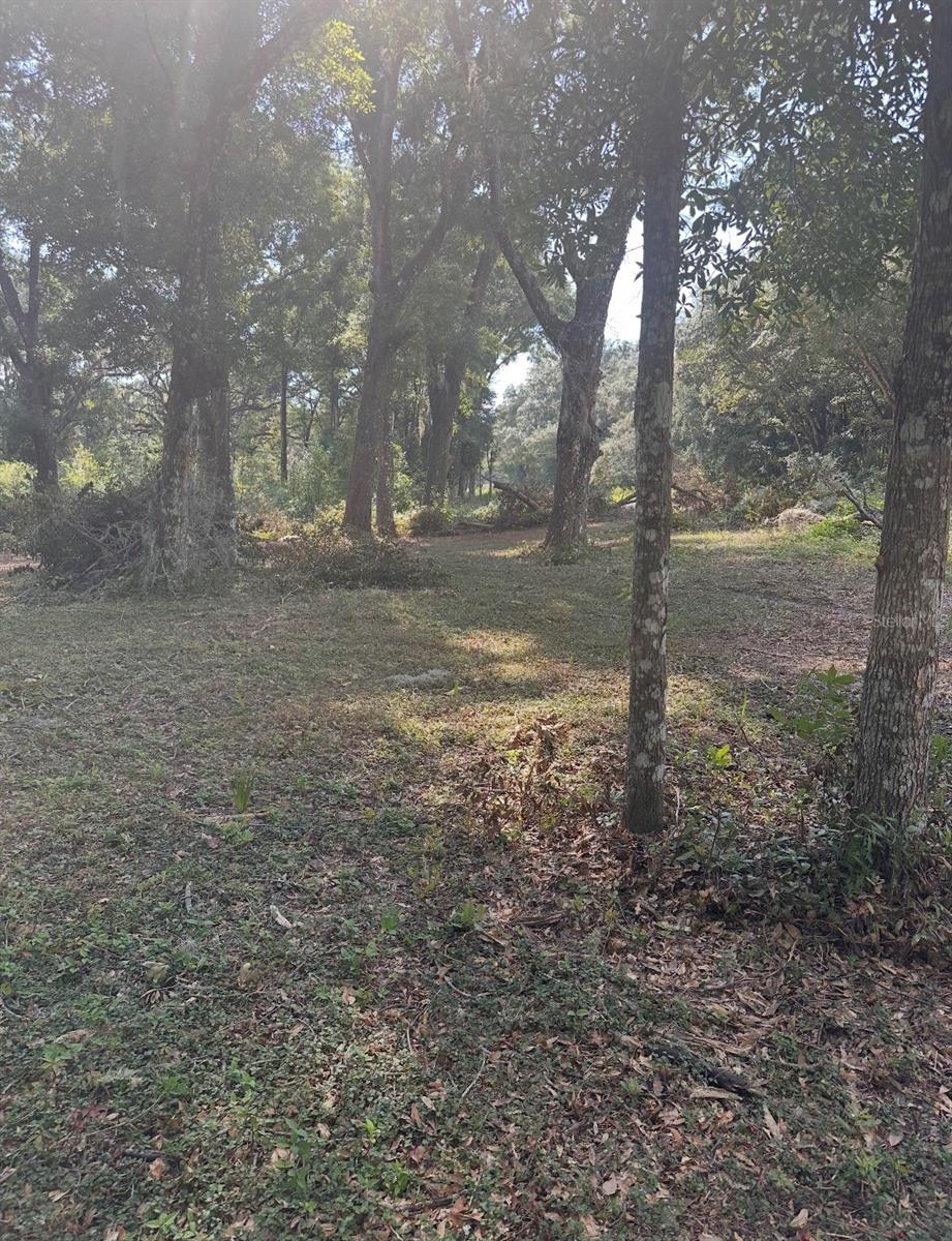 TBD SW 111TH LANE