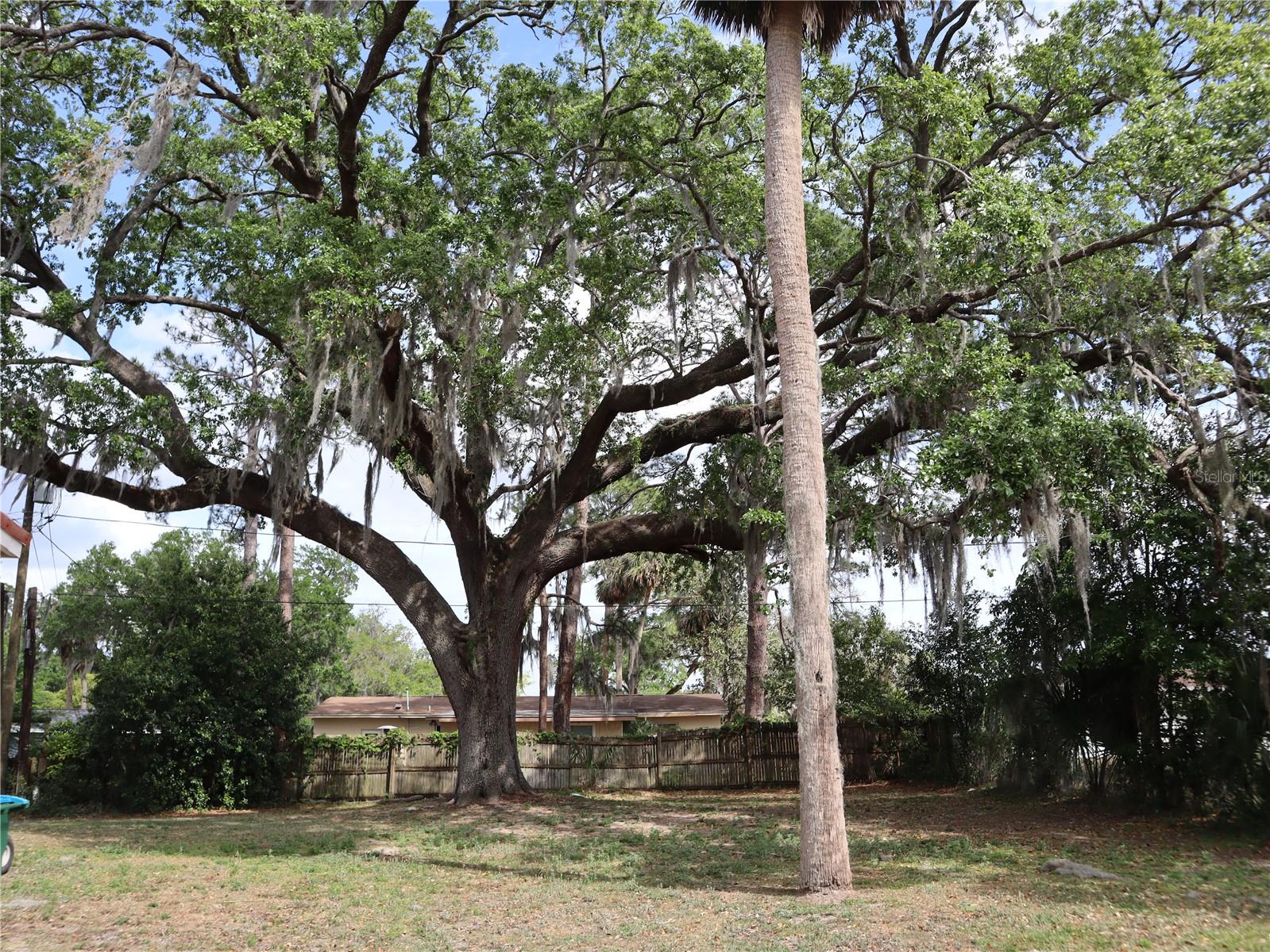 DELTONA LAKES UNIT 06 - Residential