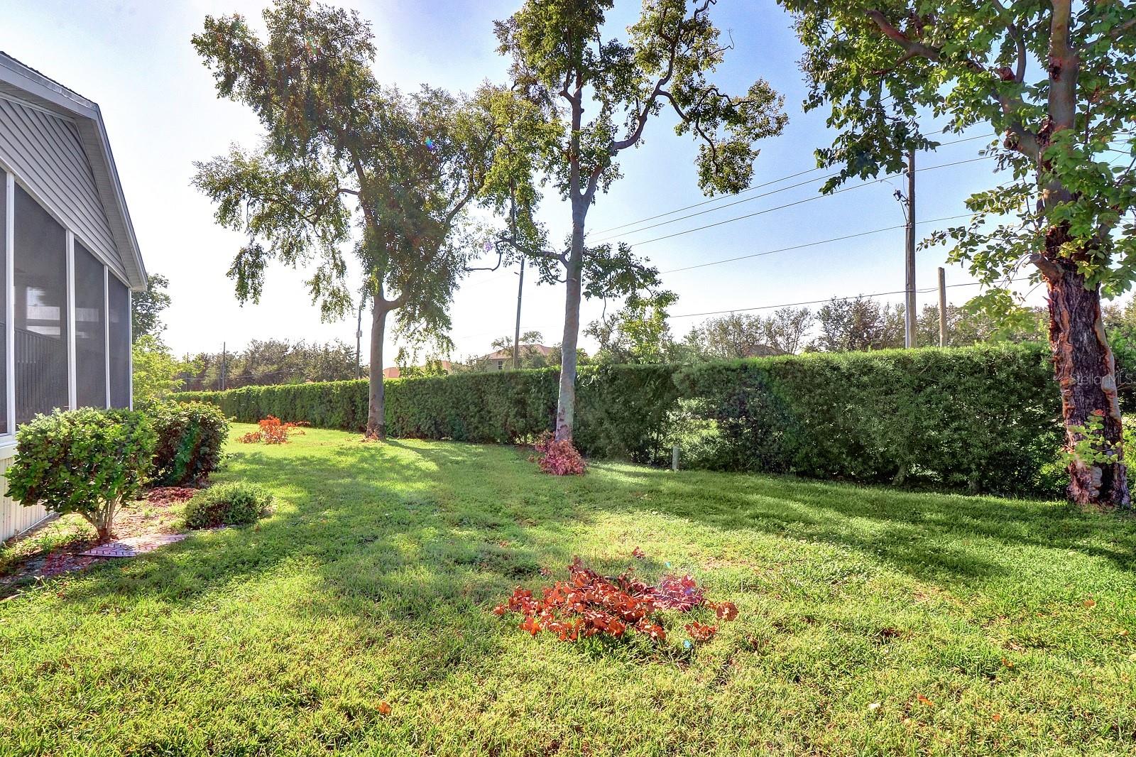 MAPLE LEAF ESTATES - Residential