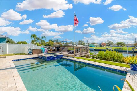 A home in APOLLO BEACH