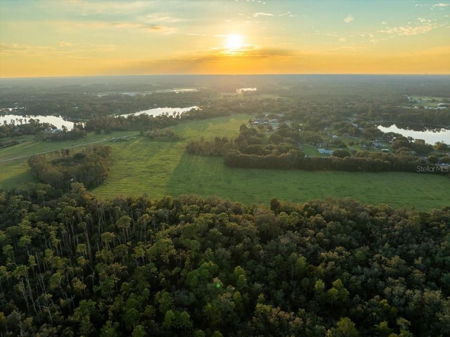 Truly a "one of a kind" exceptional property with prime location in the heart of Odessa. Beautiful pasture with pockets of woods interspersed for extra beauty and privacy. This picturesque estate parcel borders a very nice residential development on one side and several hundred acres of beautifully wooded property (Cosme Odessa Wellfield) on the other side. Very private country atmosphere with shopping at Publix and the Citrus Park Mall just a few minutes away. One of the few large acreage parcels remaining in the Odessa area. All of the subject property, approximately 49.9 acres, is on the North side of Boy Scout Road. Please do not go to the subject property without the listing agent. There is a cattle lease on the subject property therefore extra caution is required. The cattle pens do not convey.