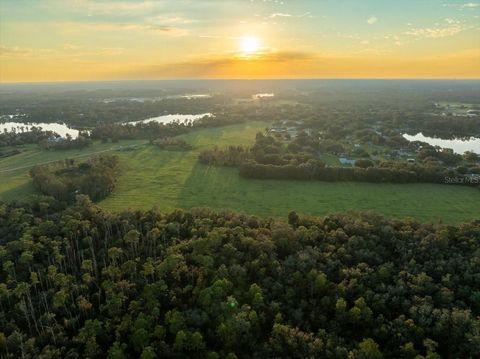 Photo of 16405 Boy Scout Road, Odessa, FL 33556 (MLS # TB8446063)