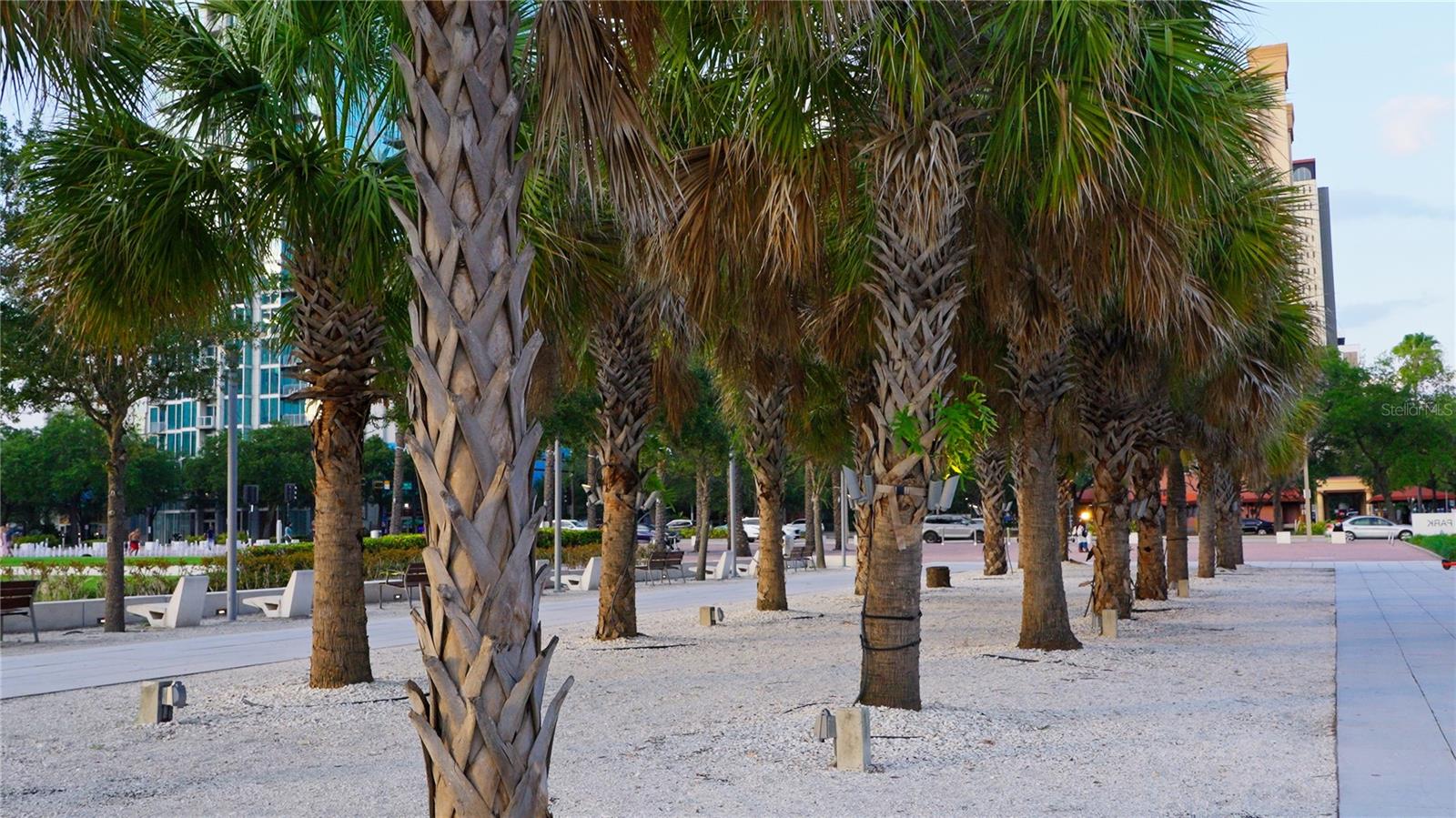 4YQ | ONE LAUREL PLACE A CONDOMINIUM - Residential