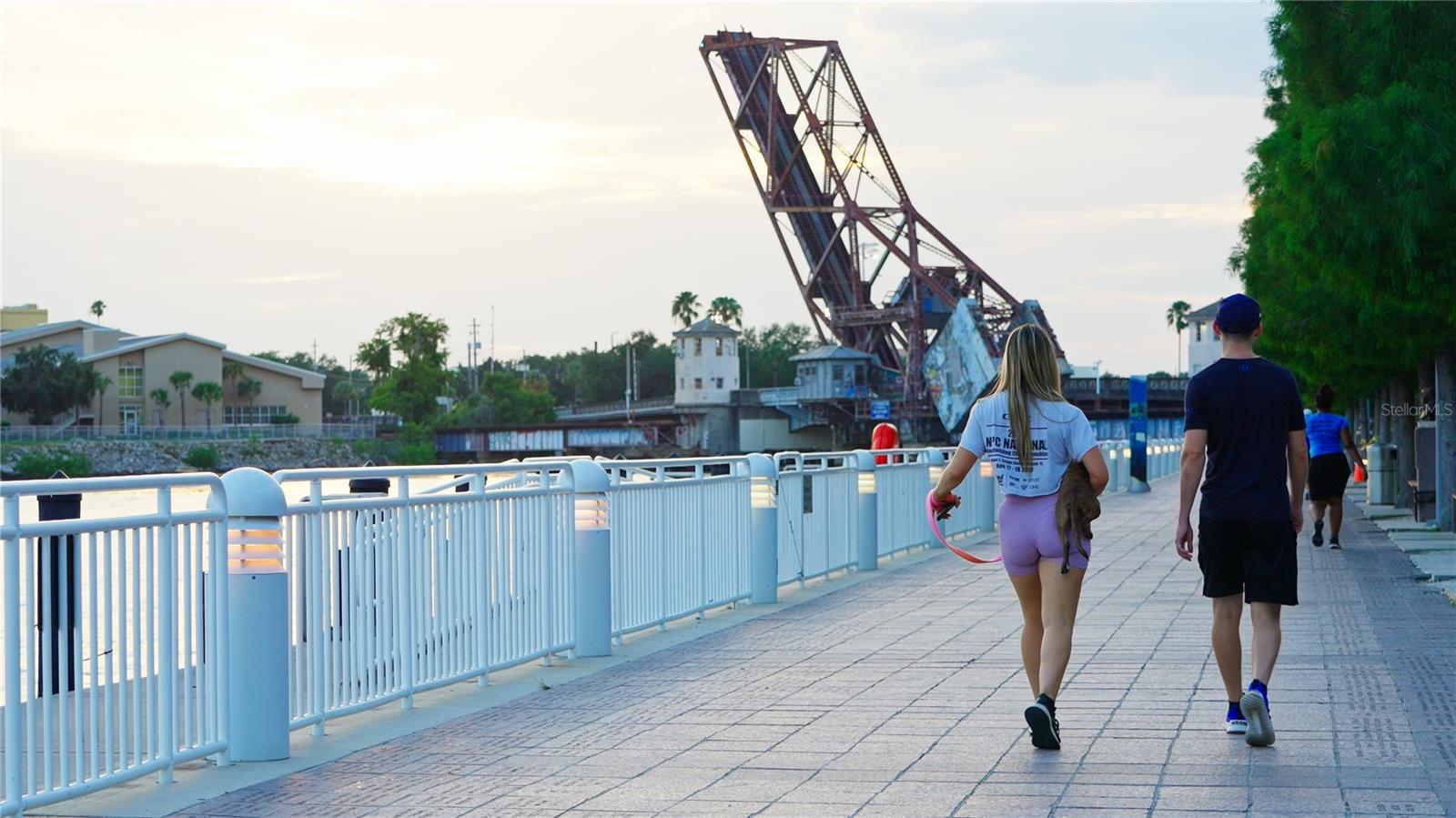 4YQ | ONE LAUREL PLACE A CONDOMINIUM - Residential