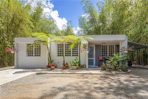 SR-380 CAMINO EL GUAYO URB QUINTAS DEL BAMBÚ LOT 6 MAYAGUEZ  00680