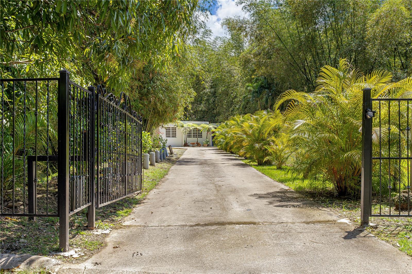 SR-380 CAMINO EL GUAYO URB QUINTAS DEL BAMBÚ LOT 6