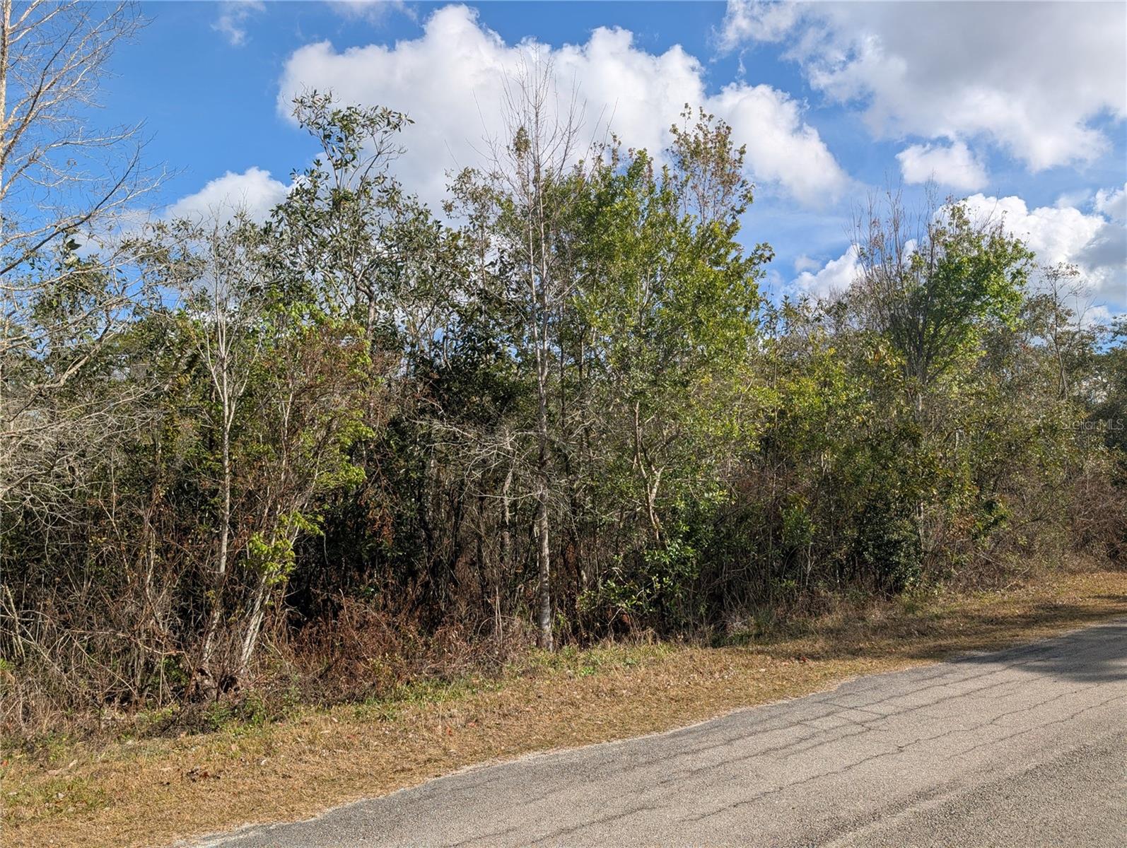 INDIAN LAKE ESTATES - Land