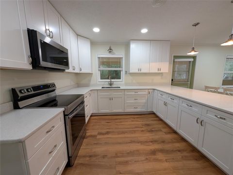 Tiny photo for 8481 S Great Oaks Drive, Floral City, FL 34436 (MLS # W7883587)