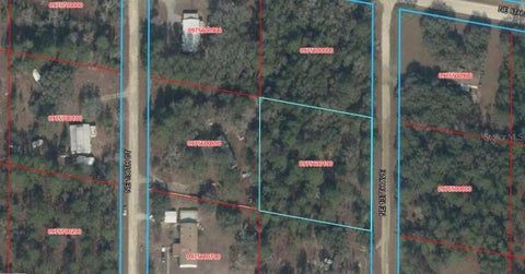 Photo of NE 137th Avenue, Williston, FL 32696 (MLS # A4711367)