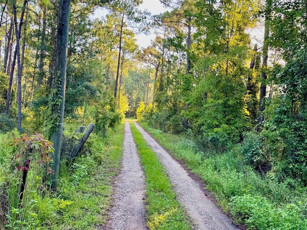 Photo of 140 Schofield Lane, Davenport, FL 33837 (MLS # O6336586)