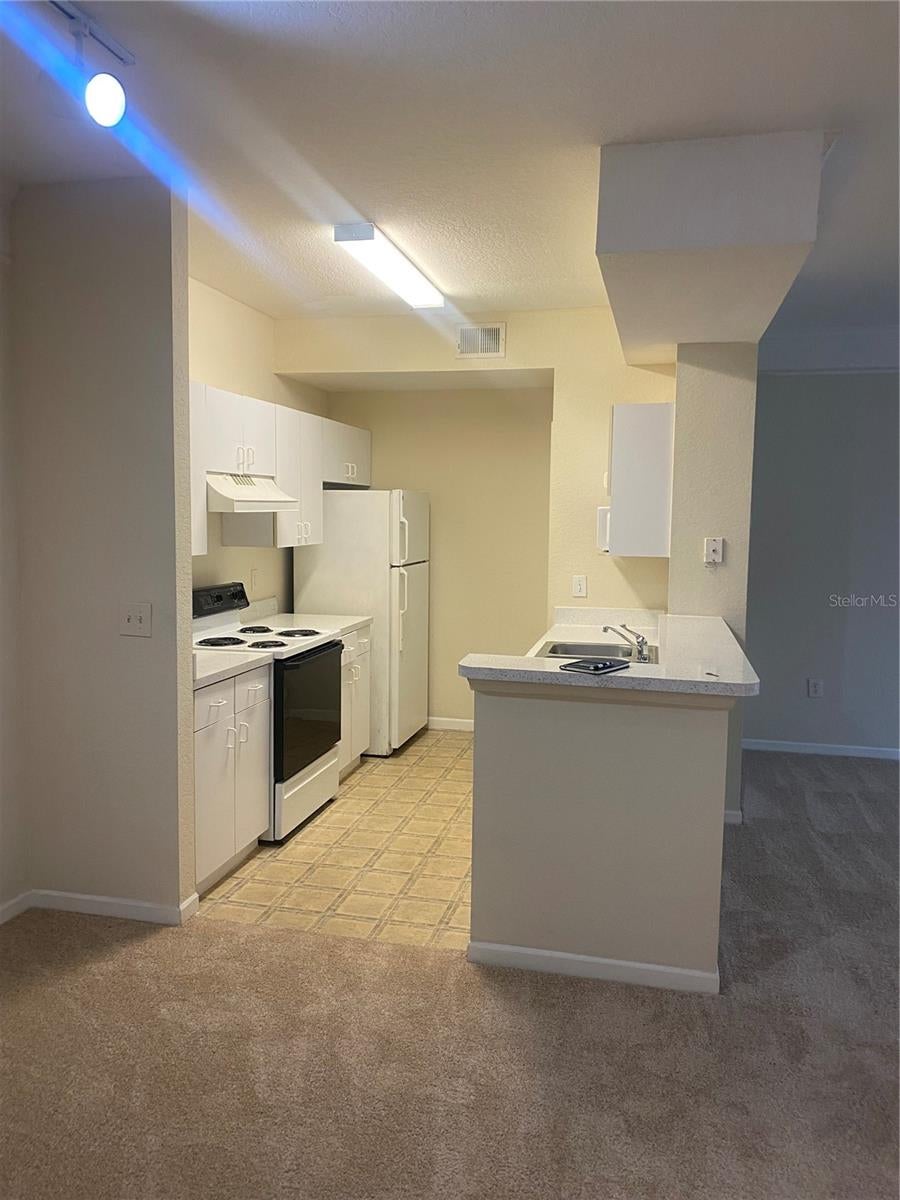 17106 CARRINGTON PARK DRIVE 607 - Photo 4
