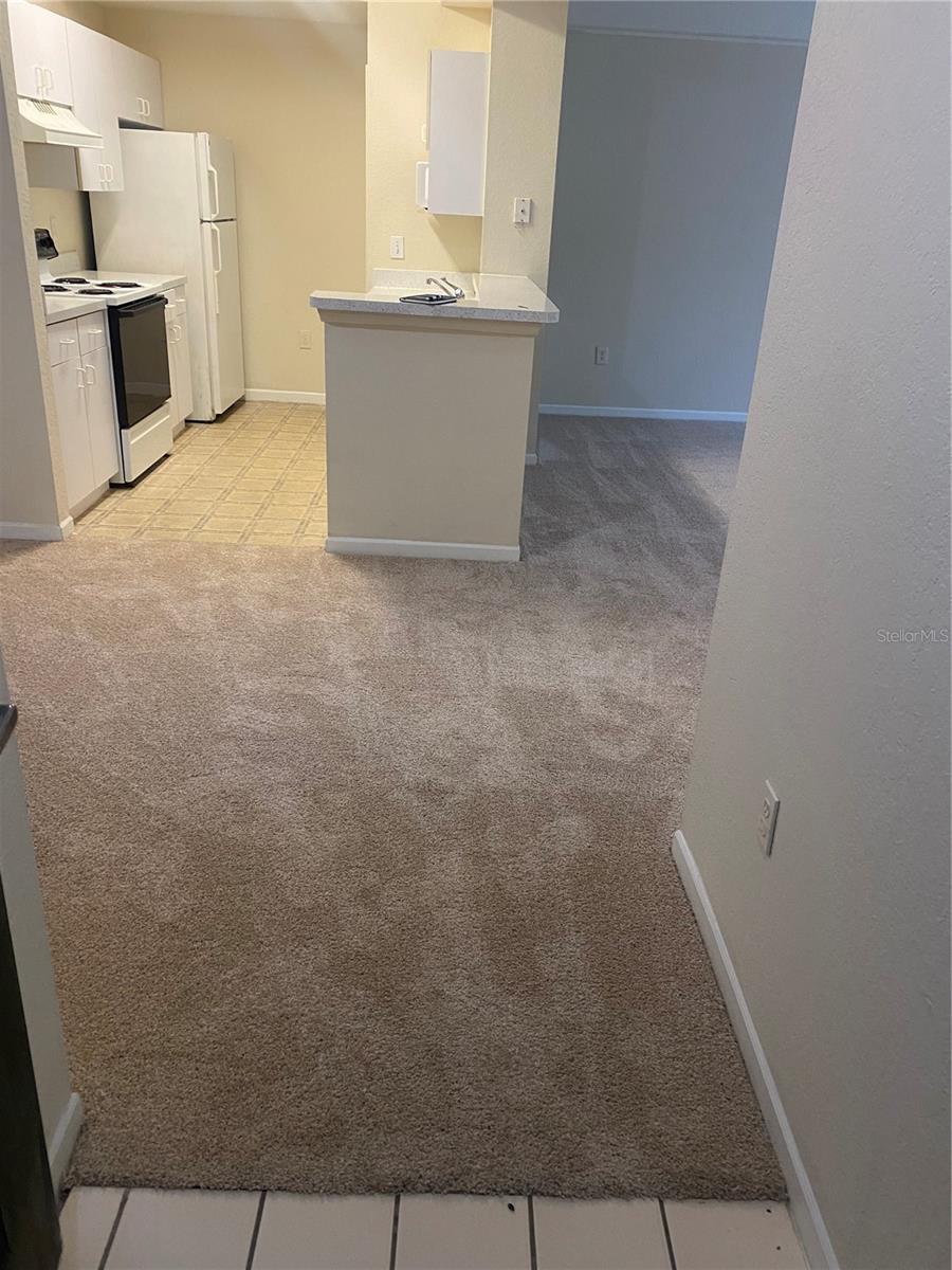 17106 CARRINGTON PARK DRIVE 607 - Photo 2