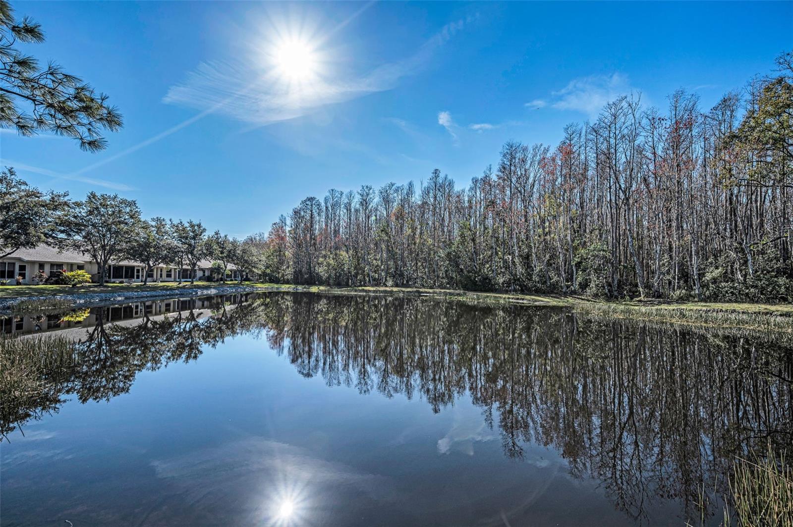 HERITAGE SPRINGS VILLAGE 24 & VILLAGE 24A - Residential