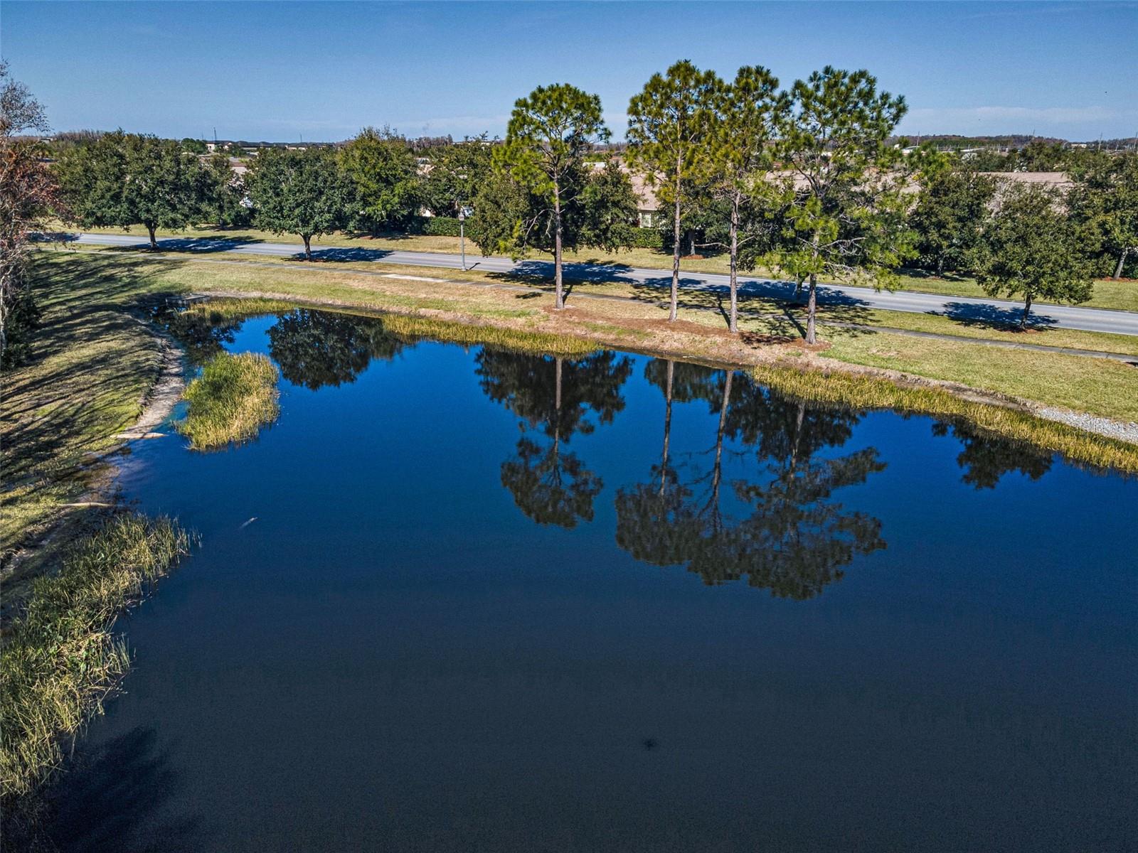 HERITAGE SPRINGS VILLAGE 24 & VILLAGE 24A - Residential