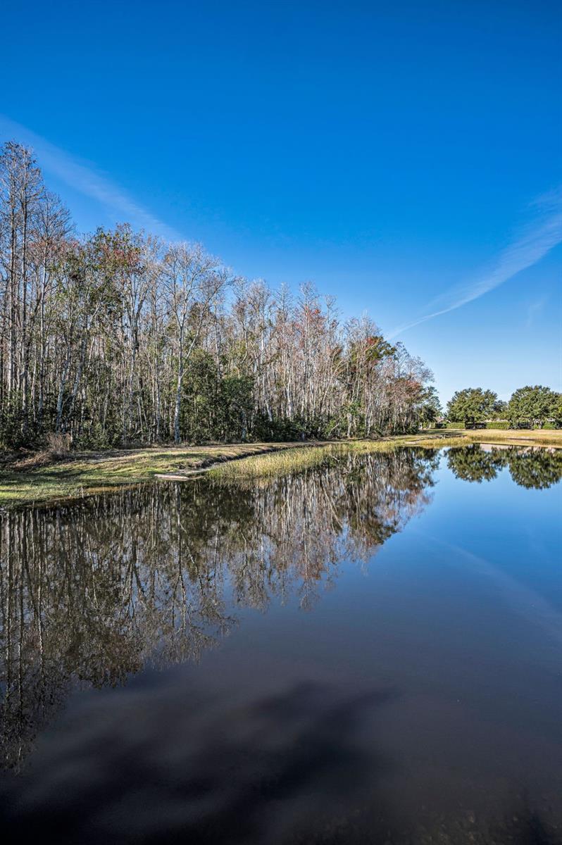 HERITAGE SPRINGS VILLAGE 24 & VILLAGE 24A - Residential