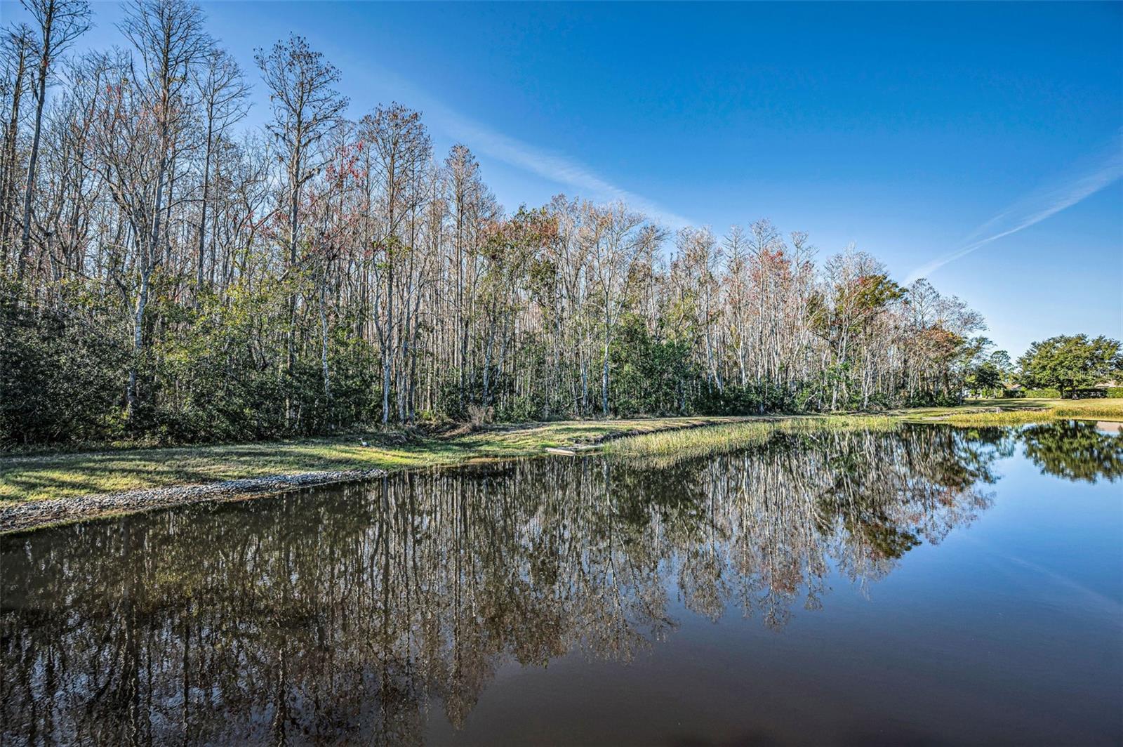 HERITAGE SPRINGS VILLAGE 24 & VILLAGE 24A - Residential