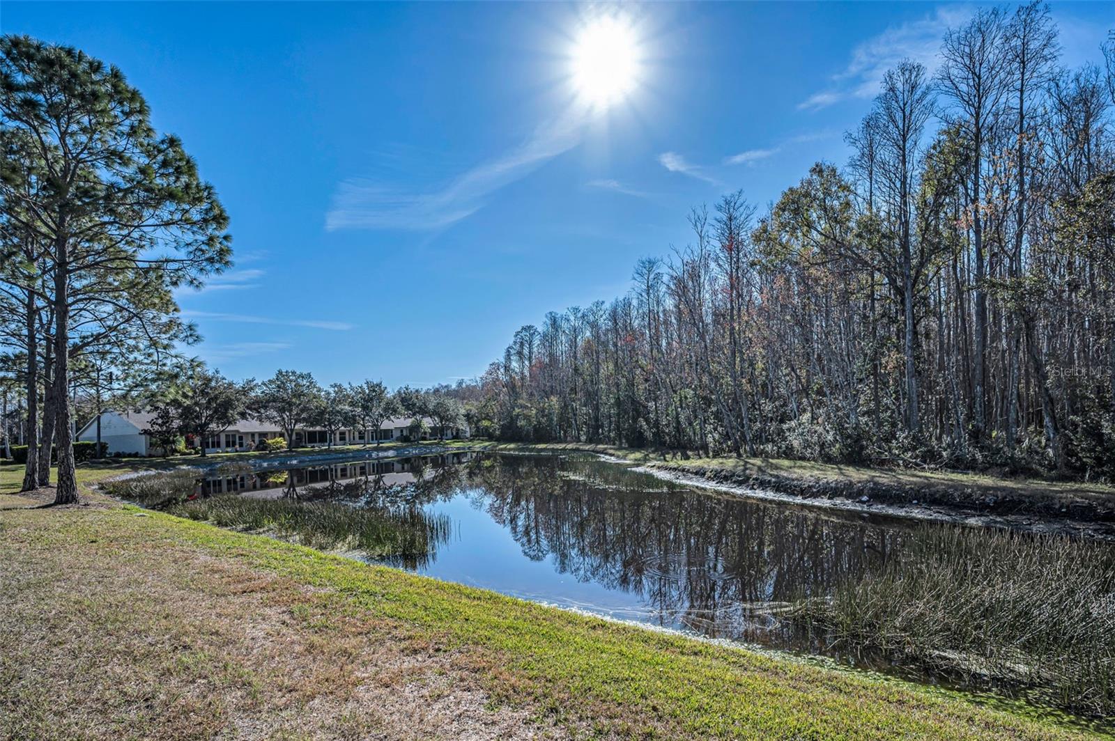 HERITAGE SPRINGS VILLAGE 24 & VILLAGE 24A - Residential