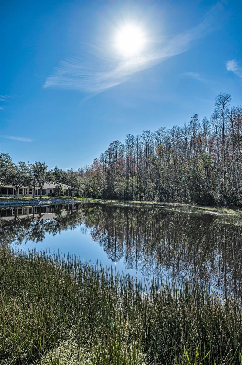 HERITAGE SPRINGS VILLAGE 24 & VILLAGE 24A - Residential