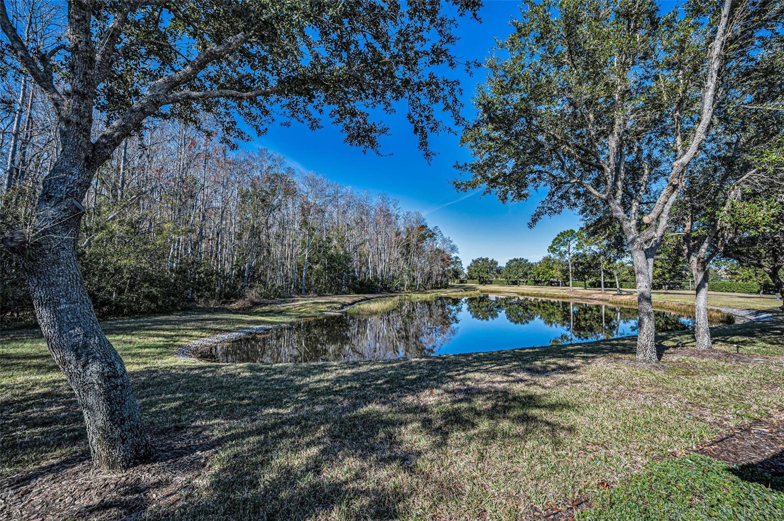 HERITAGE SPRINGS VILLAGE 24 & VILLAGE 24A - Residential