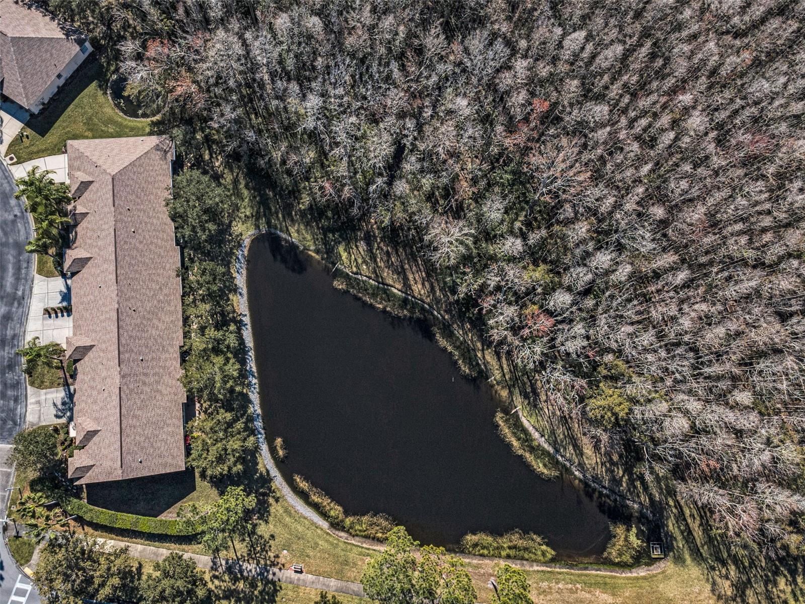 HERITAGE SPRINGS VILLAGE 24 & VILLAGE 24A - Residential