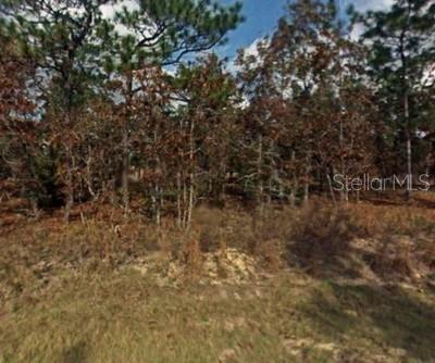 RAINBOW LAKES ESTATE - Land