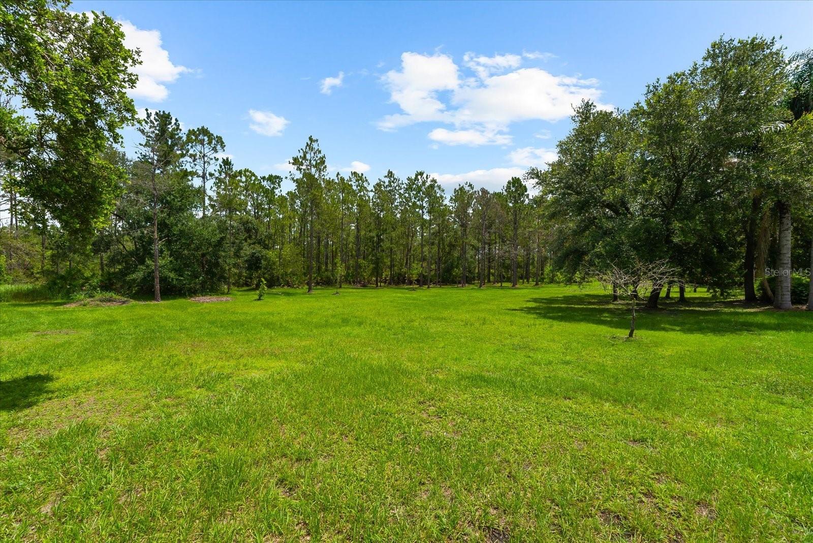 PANTHER RIDGE - Residential