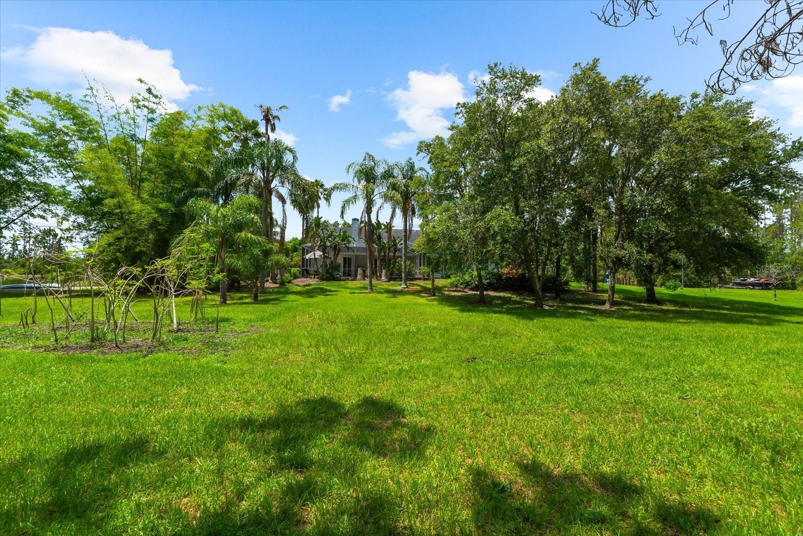 PANTHER RIDGE - Residential