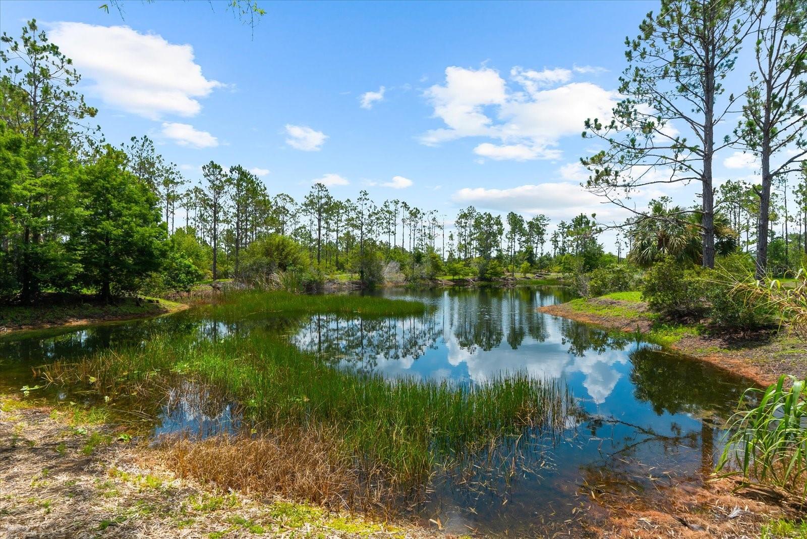 PANTHER RIDGE - Residential