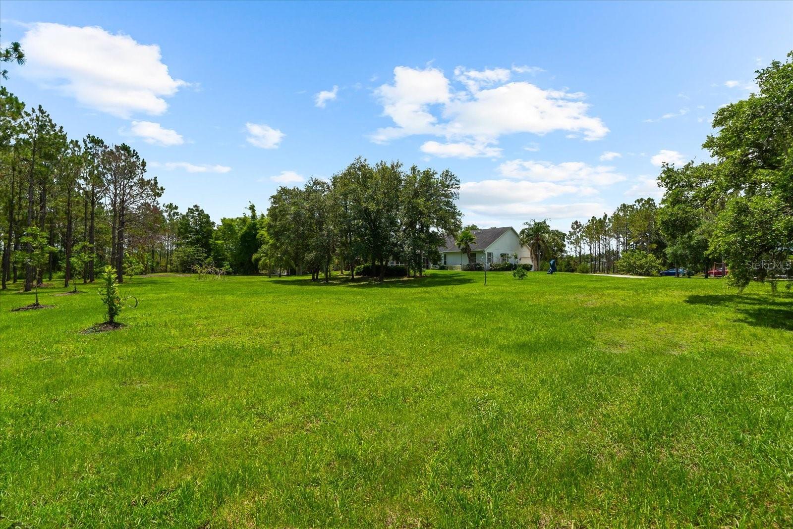 PANTHER RIDGE - Residential