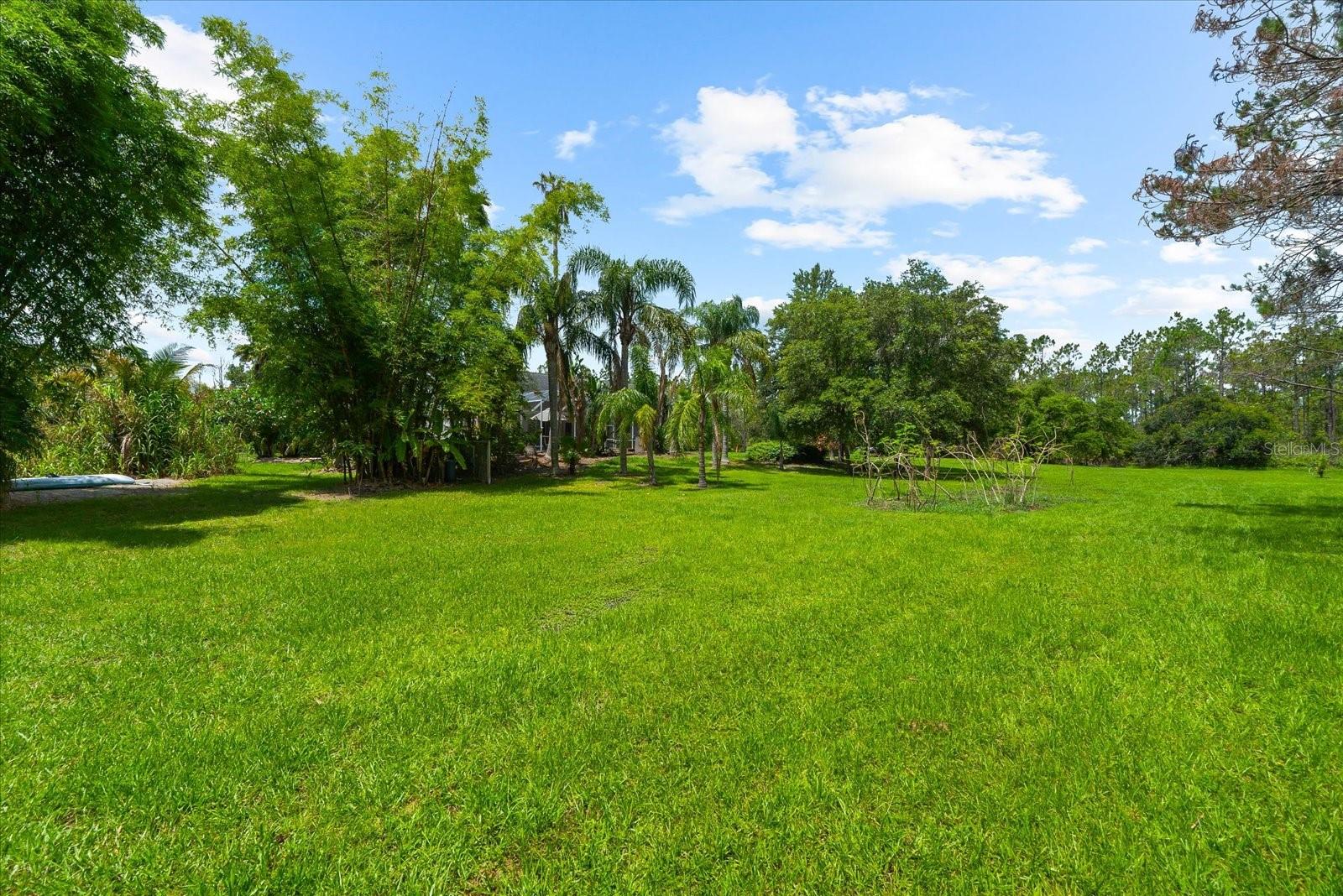 PANTHER RIDGE - Residential