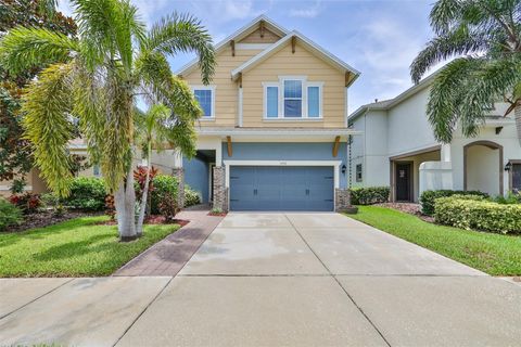 A home in APOLLO BEACH