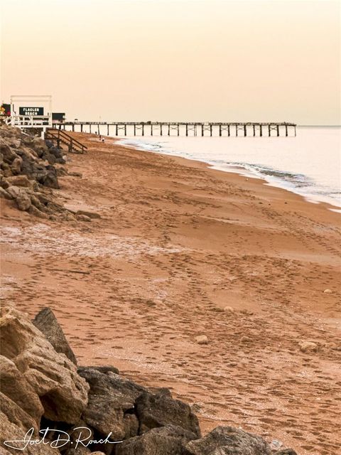 A home in FLAGLER BEACH