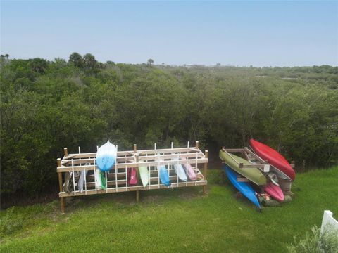 A home in FLAGLER BEACH