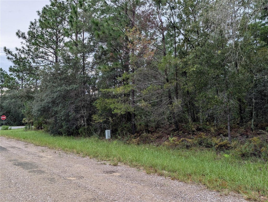 Photo of 6443 N Dorian Terrace, Dunnellon, FL 34433 (MLS # OM733687)