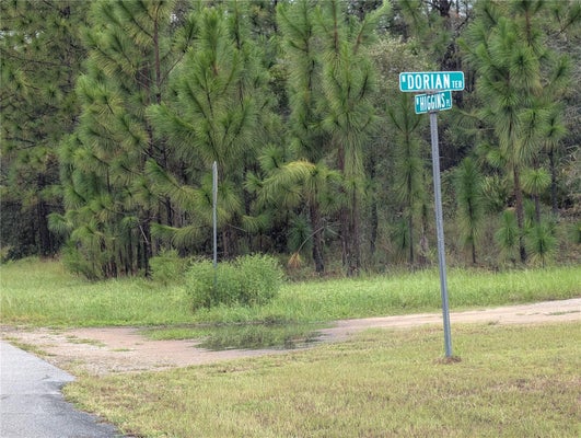 6443 N DORIAN TER, DUNNELLON, FL 34433 - Image a38e977b358be0d0fd6a4064a40ecd2d/3879468367