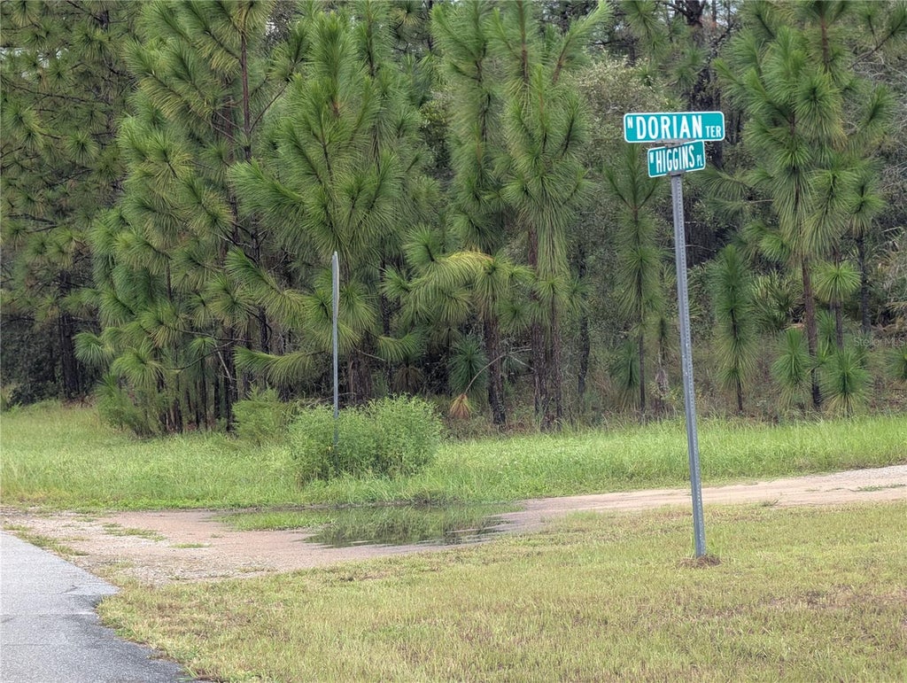 Photo of 6443 N Dorian Terrace, Dunnellon, FL 34433 (MLS # OM733687)