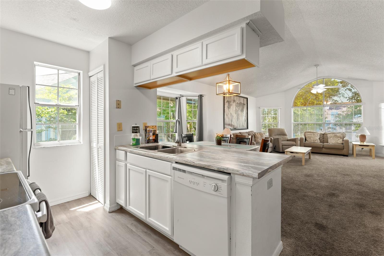 VILLAS AT SOMERSET THE - Residential