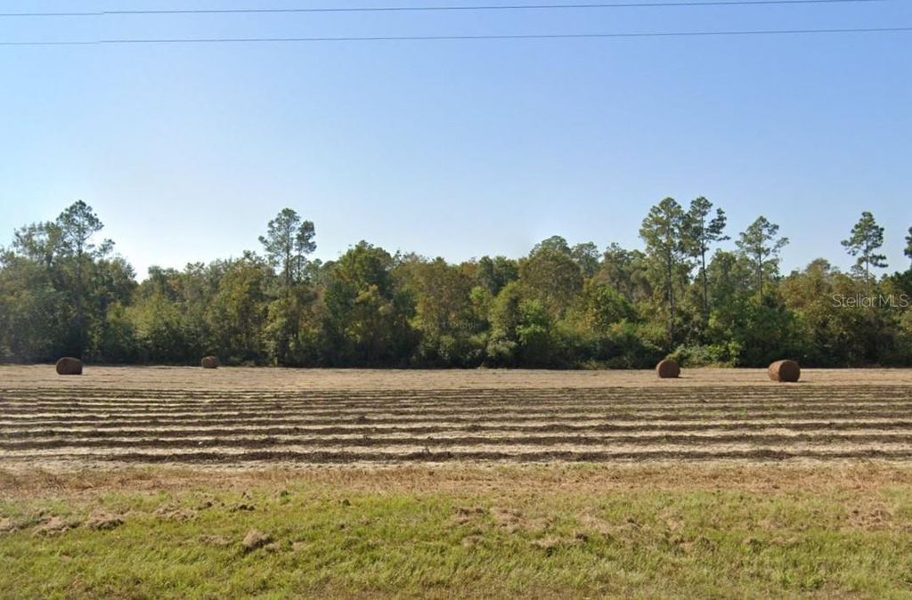 Photo of 3835 Peanut Road, Cottondale, FL 32431 (MLS # A4683783)