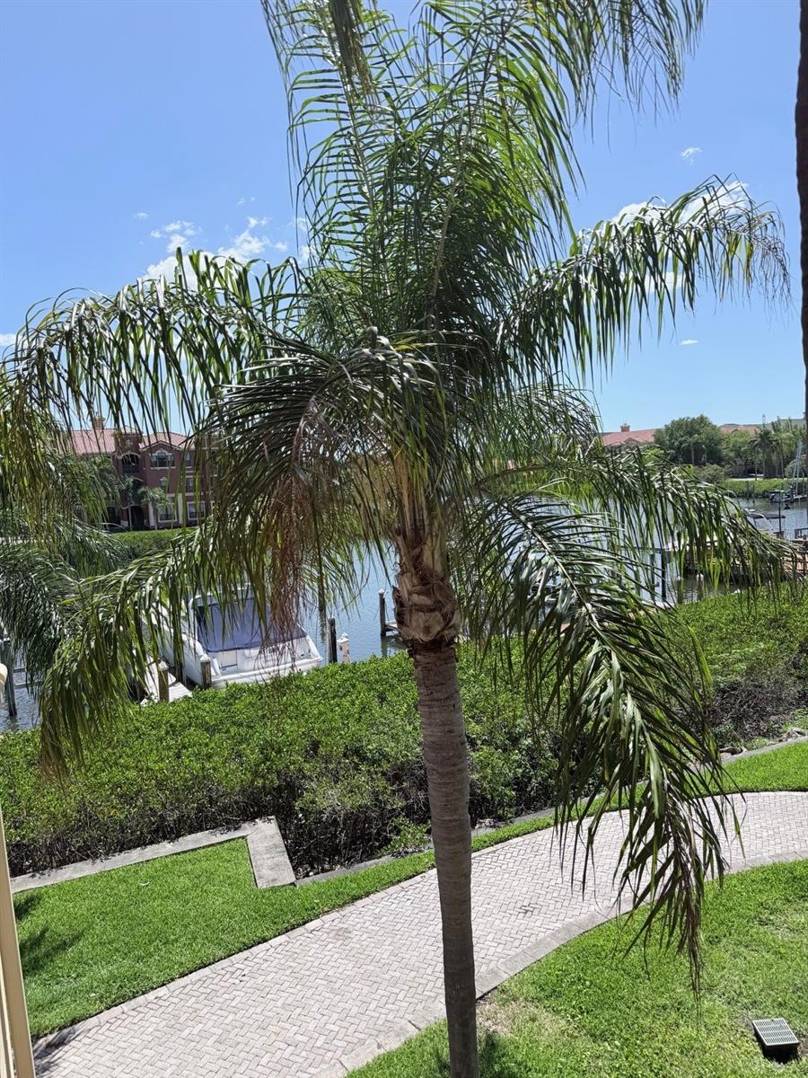 GRAND BELLAGIO AT BAYWATCH CONDO THE - Residential