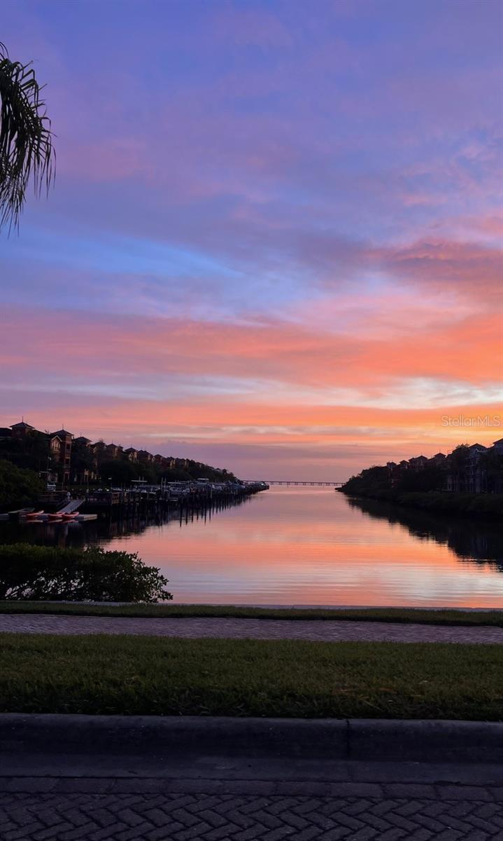 GRAND BELLAGIO AT BAYWATCH CONDO THE - Residential