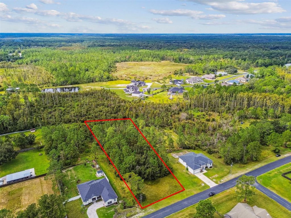 Photo of 8017 Woodleaf Boulevard, Wesley Chapel, FL 33544 (MLS # TB8438215)