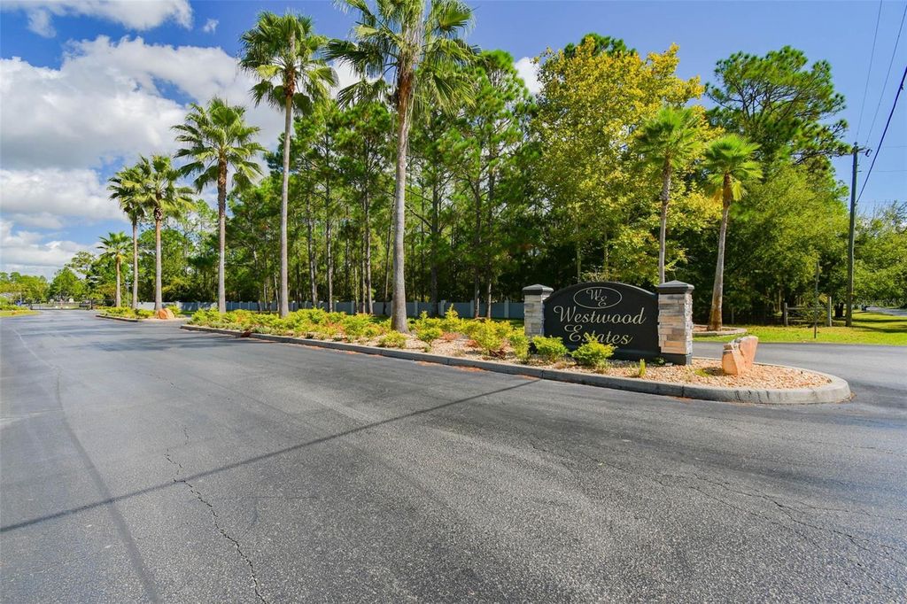 Photo of 8017 Woodleaf Boulevard, Wesley Chapel, FL 33544 (MLS # TB8438215)