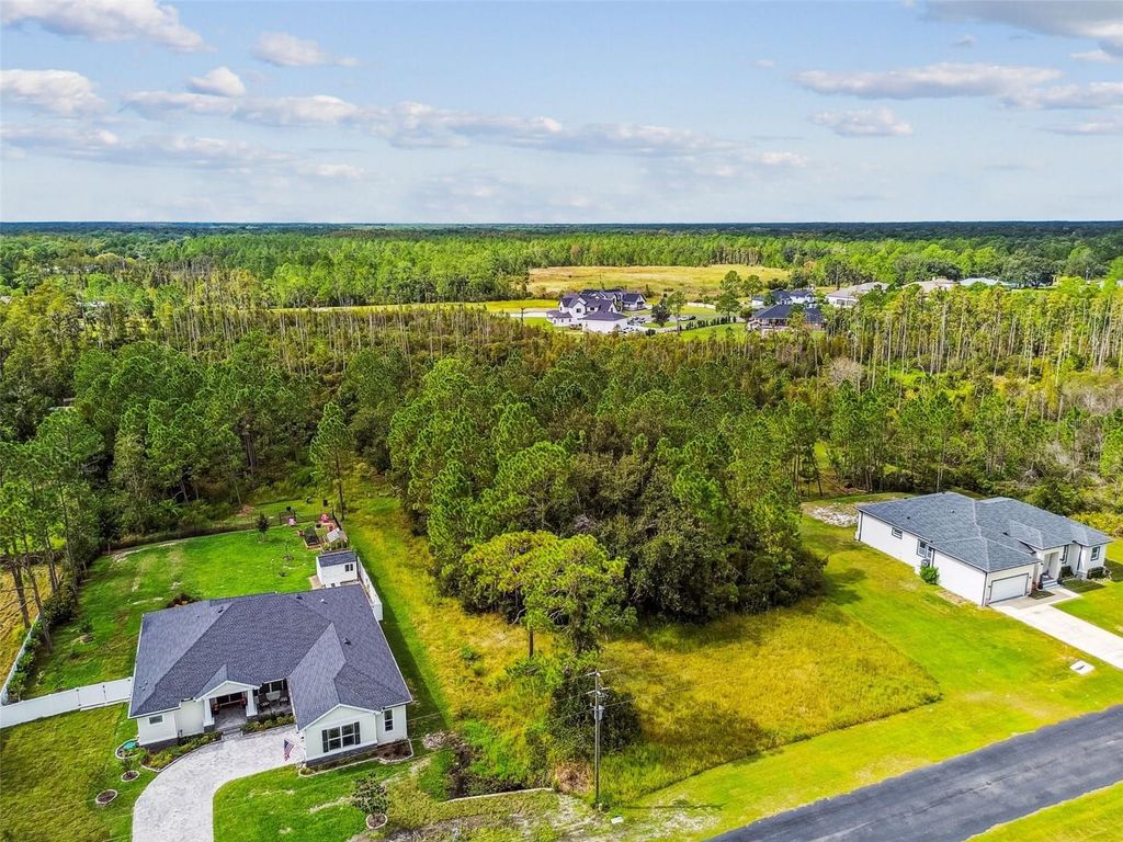 Photo of 8017 Woodleaf Boulevard, Wesley Chapel, FL 33544 (MLS # TB8438215)