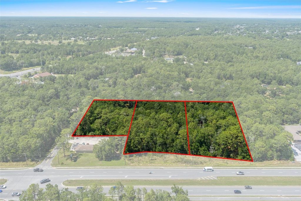 Photo of 2767 W Norvell Bryant Highway, Lecanto, FL 34461 (MLS # OM701300)