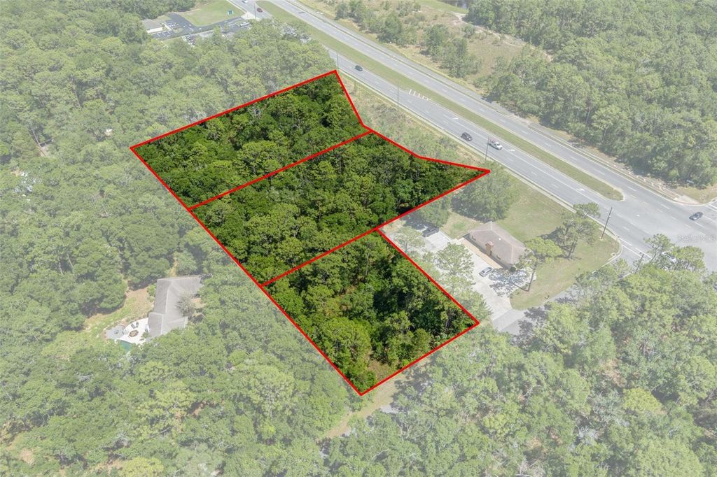 Photo of 2767 W Norvell Bryant Highway, Lecanto, FL 34461 (MLS # OM701300)