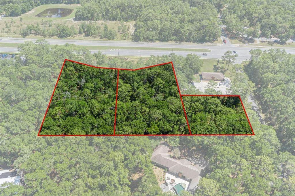 Photo of 2767 W Norvell Bryant Highway, Lecanto, FL 34461 (MLS # OM701300)